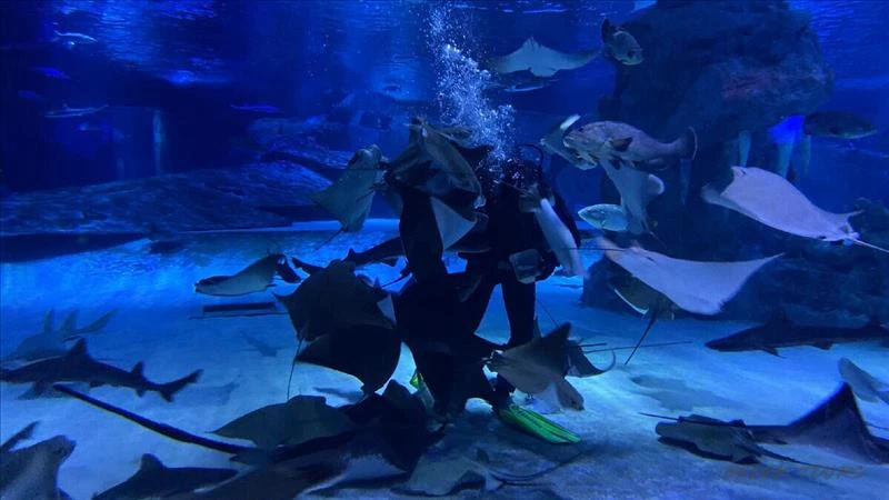 Antalya Aquarium from Belek