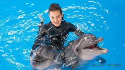 Дельфинарий Pattaya Dolphin World