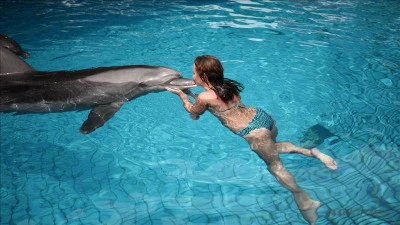 Swimming with dolphins in Bogazkent