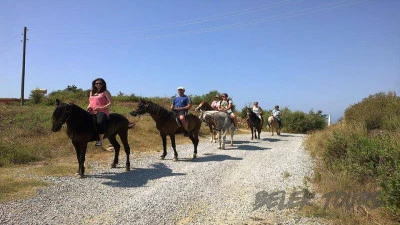 Прогулка на лошадях в Белеке